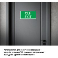 Знак "ВЫХОД" TDM ELECTRIC 200х100мм (армянский язык), в упаковке 10 штук SQ0817-0071