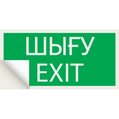 Знак "ВЫХОД" TDM ELECTRIC 200х100мм (казахский язык), в упаковке 10 штук SQ0817-0074