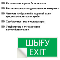 Знак "ВЫХОД" TDM ELECTRIC 200х100мм (казахский язык), в упаковке 10 штук SQ0817-0074