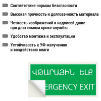 Знак "ЗАПАСНЫЙ ВЫХОД" TDM ELECTRIC 200х100мм (армянский язык), в упаковке 10 штук SQ0817-0075