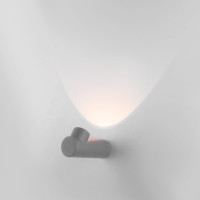 Садово-парковый светильник Elektrostandard 35134/W со светодиодами Ray LED серый a056371