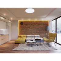 Светильник TANGO 24Вт LED настенно-потолочный "ШАРМ" РОССИЯ 1156243