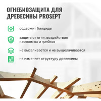 Огнебиозащита для древесины PROSEPT 2 группа, бесцветный, готовый состав, 10 кг 064 -10