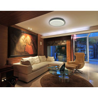 Настенно-потолочный светильник TANGO 60Вт с ДУ LED "БОГЕМА" 1195520