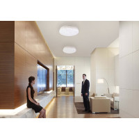 Настенно-потолочный светильник TANGO 24Вт LED "ВАЛЬС" 1156658