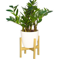 Подставка для цветов GreenWeen Oxalis 20 золотая GW-O20G