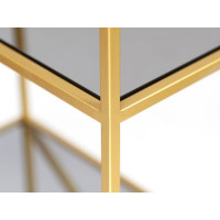 Стеллаж GreenWeen KARIN золотой/стекло, 550x300x1750 GW-KARIN-G-G