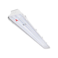 Светильник WOLTA STD с БАП ДСП14 54Вт IP65 7000лм 6500К Прозрачный ДСП14-54-042-6К