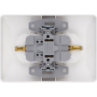 Двойная розетка TDM ELECTRIC 2П+З 16А 250В белая Ильмень SQ1823-0012