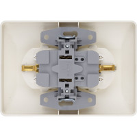 Розетка двойная слоновая кость с защитными шторками с заземлением, 16А 250В серия "Ильмень" TDM ELECTRIC SQ1823-0116