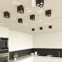 Накладной светильник Elektrostandard 25036 LED черный матовый серебро a055857