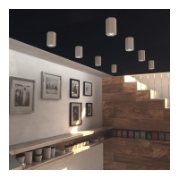 Накладной светильник Elektrostandard 25036 LED белый матовый серебро a055856