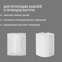 Внешний угол TDM ELECTRIC КМН 100х40 (2 шт./комплект) SQ0411-0067