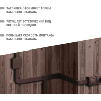 Заглушка кабельной трассы TDM ELECTRIC КМЗ 60х40 бук (4 шт./комплект) SQ0411-0336