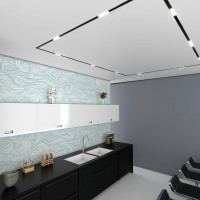 Трековый светильник Elektrostandard Slim Magnetic WL01 6W 4200K черный 85007 01 a057195