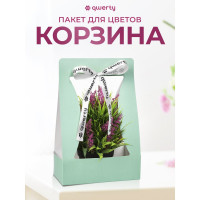 Пакет для цветов QWERTY Корзина, зеленый, с лентой 74098