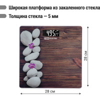 Электронные напольные весы TDM ELECTRIC Спа, стекло, деление 0,01 кг, макс. 180 кг, 28х28 см SQ4012-0004