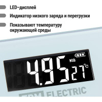 Электронные напольные весы TDM ELECTRIC Фиалки, стекло, деление 0,01 кг, макс. 180 кг, 28х28 см SQ4012-0003