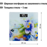 Электронные напольные весы TDM ELECTRIC Фиалки, стекло, деление 0,01 кг, макс. 180 кг, 28х28 см SQ4012-0003