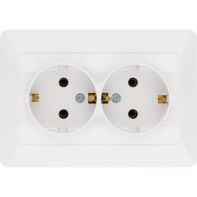 Двойная розетка TDM ELECTRIC 2П+З 16А 250В белая Ильмень SQ1823-0012