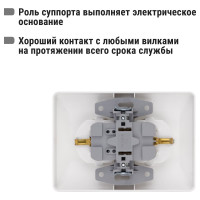 Двойная розетка TDM ELECTRIC 2П+З 16А 250В белая Ильмень SQ1823-0012