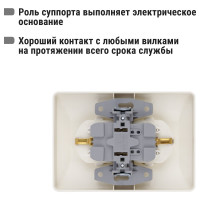 Розетка двойная слоновая кость с защитными шторками с заземлением, 16А 250В серия "Ильмень" TDM ELECTRIC SQ1823-0116