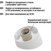 Светильник TDM ELECTRIC НББ 64-60-025 УХЛ4 (шар стекло Цветочек/наклонное основание) SQ0314-0006