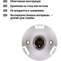 Светильник TDM ELECTRIC НББ 64-60-025 УХЛ4 (шар стекло Цветочек/наклонное основание) SQ0314-0006