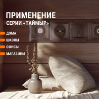 6-постовая рамка TDM ELECTRIC горизонтальная, ЭКО бук Таймыр SQ1814-0334