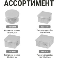 Коробка распределительная TDM ELECTRIC 110х110х70мм, крышка на винтах, IP55, 8 входов, упаковка 48 штук SQ1401-0114