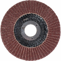 Круг лепестковый БАЗ торцевой (125x22 мм; Р100 (№12)) РемоКолор 45-5-528