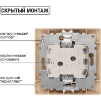 Выключатель TDM ELECTRIC 2 кл. с подсветкой 10А "ЭКО" (сосна) серия "Таймыр" SQ1814-0205