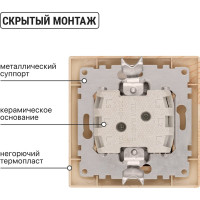 Выключатель TDM ELECTRIC 2 кл. 10А "ЭКО" (сосна) серия "Таймыр" SQ1814-0202