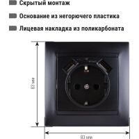 Розетка 16А 250В + 2 USB порта 2,1А 5В с заземлением графит "Лама" TDM ELECTRIC SQ1815-0642