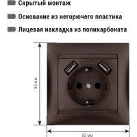 Розетка 2П+З 16А 250В + 2 USB порта 2,1А 5В TDM ELECTRIC шоколад, серия "Лама" SQ1815-0542