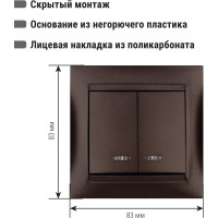 Выключатель 2 клавишный с подсветкой TDM ELECTRIC 10А, шоколад, серия "Лама" SQ1815-0505