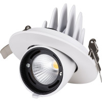 Светильник встраиваемый поворотный "Акцент-1" LED DSL-01-018-WW 18 Вт, 24°, 3000 К, 90 Ra, IP40 TDM ELECTRIC SQ0369-0400