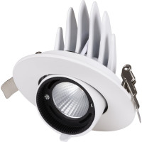Светильник встраиваемый поворотный "Акцент-1" LED DSL-01-018-WW 18 Вт, 24°, 3000 К, 90 Ra, IP40 TDM ELECTRIC SQ0369-0400
