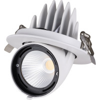 Светильник встраиваемый поворотный "Акцент-1" LED DSL-01-030-NW 30 Вт, 24°, 4000 К, 90 Ra, IP40 TDM ELECTRIC SQ0369-0404