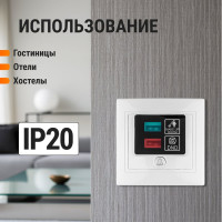 Наружная панель TDM ELECTRIC Не беспокоить и Уборка, белая Таймыр SQ1814-0601