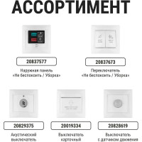 Наружная панель TDM ELECTRIC Не беспокоить и Уборка, белая Таймыр SQ1814-0601