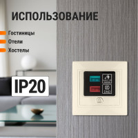 Наружная панель TDM ELECTRIC Не беспокоить и Уборка слоновая кость Таймыр SQ1814-0701