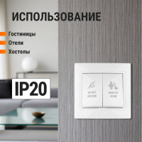 Переключатель с кнопкой TDM ELECTRIC Не беспокоить и Уборка, белая Таймыр SQ1814-0606