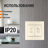 Переключатель с кнопкой TDM ELECTRIC Не беспокоить и Уборка, слоновая кость Таймыр SQ1814-0706
