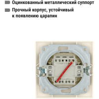 Переключатель с кнопкой TDM ELECTRIC Не беспокоить и Уборка, слоновая кость Таймыр SQ1814-0706