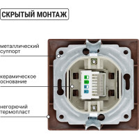 Телефонная розетка TDM ELECTRIC RJ11 ЭКО бук Таймыр SQ1814-0320