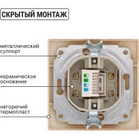 Телефонная розетка TDM ELECTRIC RJ11 ЭКО сосна Таймыр SQ1814-0220