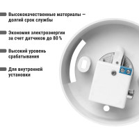 Светильник TDM ELECTRIC серии «Интеллект» 0101 САВ, прямое основание без рассеивателя SQ0322-0003