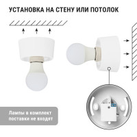 Светильник TDM ELECTRIC серии «Интеллект» 0101 САВ, прямое основание без рассеивателя SQ0322-0003