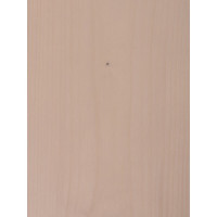 Краска для дерева Pollux FB Water 200 Шелл (цвет светло-бежевый; объем 1 л) 4687202235131